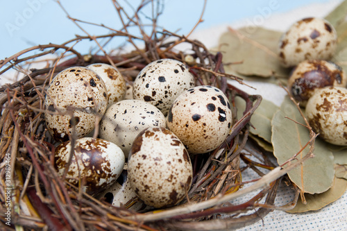 quail eggs in a nest of branches on a blue background, light fabric, Easter background, natural nutrition, bay leaf