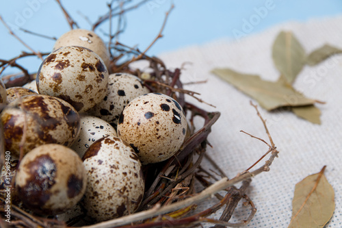 quail eggs in a nest of branches on a blue background, light fabric, Easter background, natural nutrition