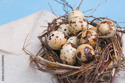 quail eggs in a nest of branches on a light blue background, linen fabric, copy space. Easter background, close-up