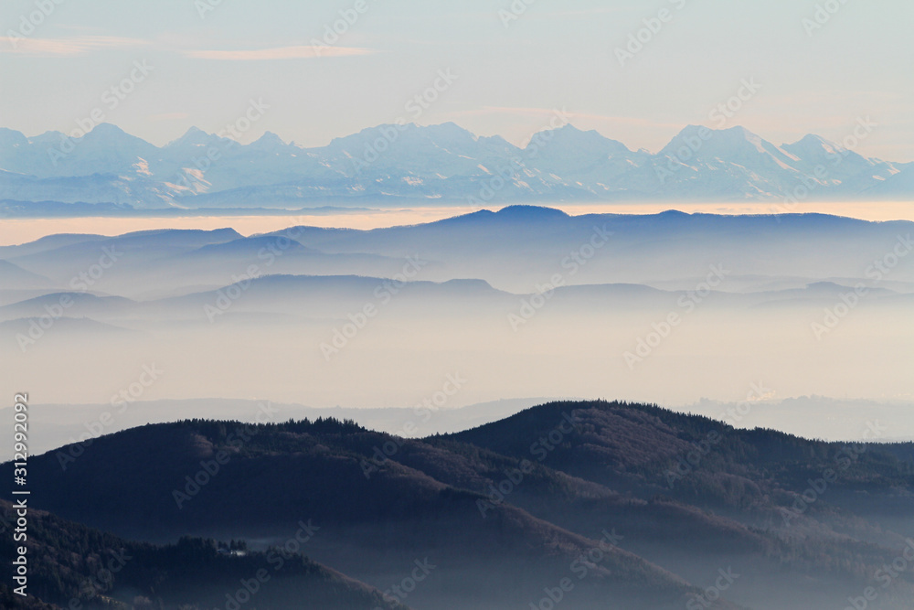 Blick zu den Alpen aus dem Schwarzwald