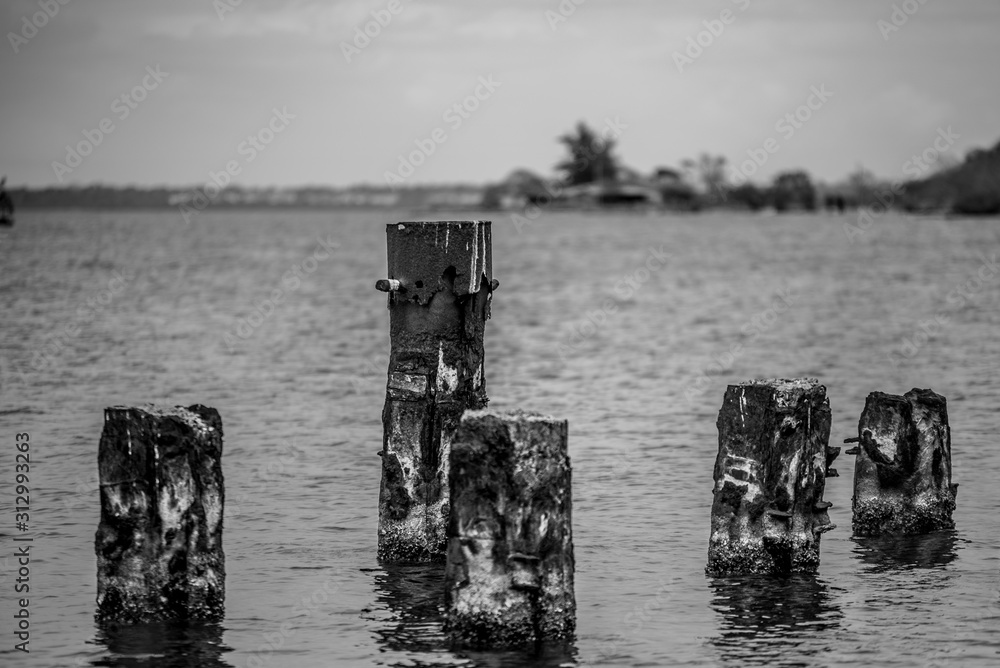 Fototapeta premium sea