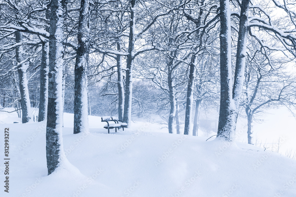 Empty bench at winter Empty bench at winter