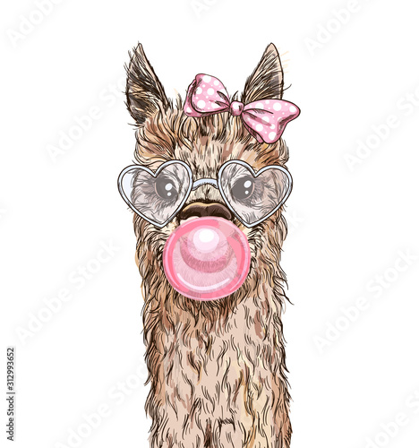 Portrait of the cute alpaca with pink bubble gum
