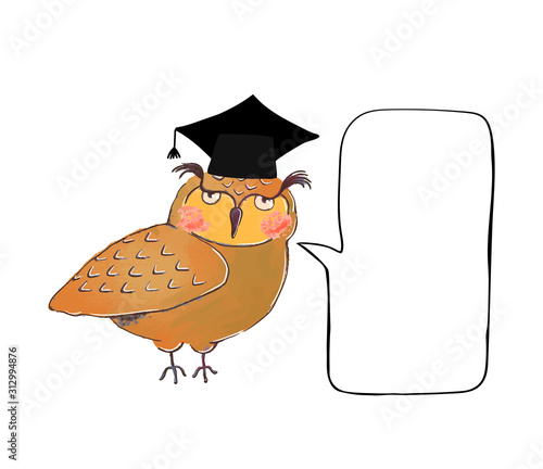 Vector colorful illustration of cute owl in graduate cap and speach buble photo