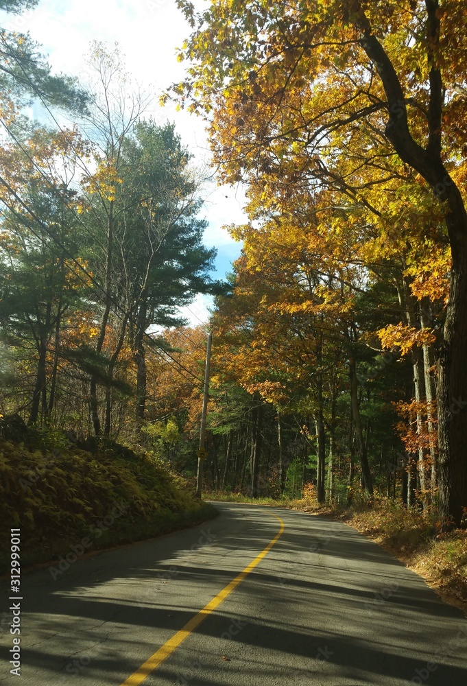 Obraz premium fall road