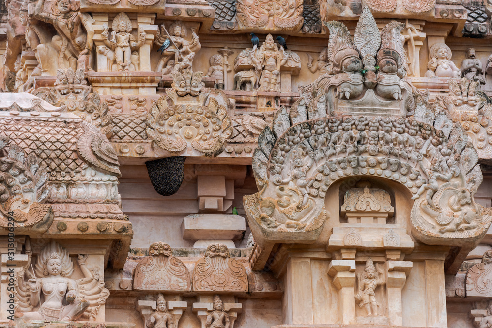 Giant Bee Hive And Parrot At The Brihadeeswarar Temple In Gangaikonda Cholapuram Tamil Nadu