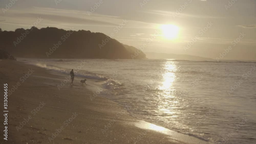 Beautiful Sunset / Sunrise | Girl walking on the beach with her dog. Idyllic. (4K) Beautiful Sunset / Sunrise | Girl walking on the beach with her dog. Idyllic. (4K)