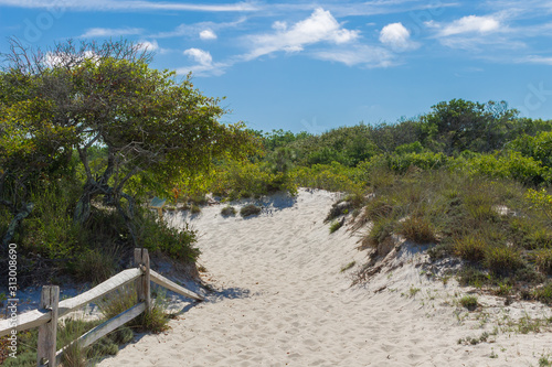 A hiking path on Assateague Island 