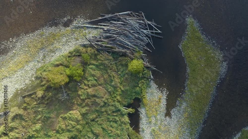 Aerial: The Lochsa river and forest with morning fog.  Tree logs are backed up along the river's edge . Nez Perce Clearwater National Forests, Idaho, USA. photo