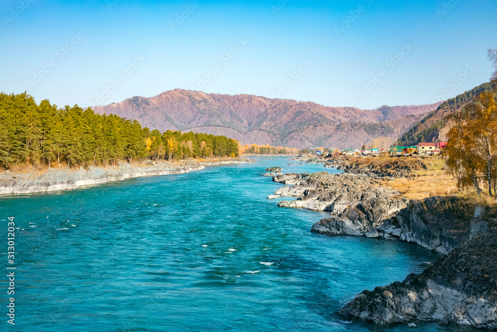 Beautiful view of the Turquoise Katun river in the Altai mountains on a sunny day. Altai Territory in Siberia