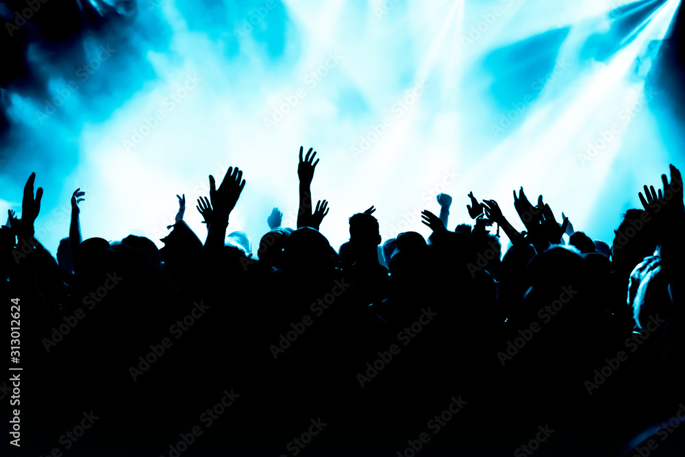 cheering people at rock concert