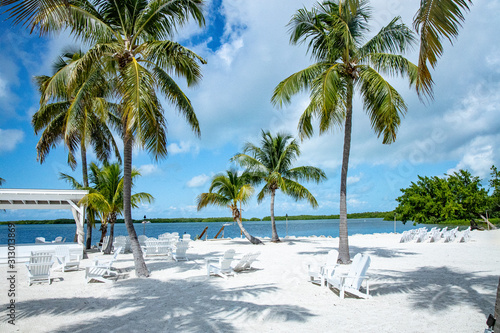 Islamorada Florida Keys Key West Miami USA America Palmen photo