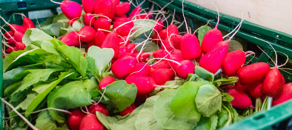 Radieschen Gemüse rot gesund Salat radish fresh 