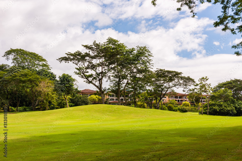 Landscape at the golf course. Tropical zone