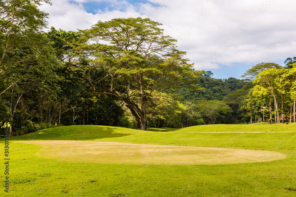 Landscape at the golf course. Tropical zone Landscape at the golf course. Tropical zone