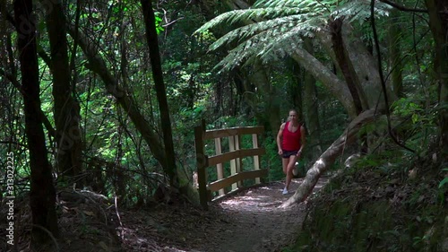 Wallpaper Mural Girl athlete runs through the forest across the bridge in new zealand Torontodigital.ca