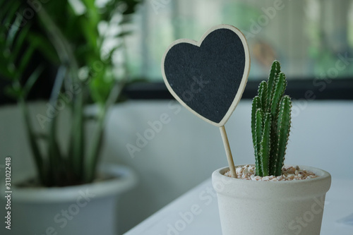 black wooden heart board in small pootted plant with cactus, empty card used for text with love photo
