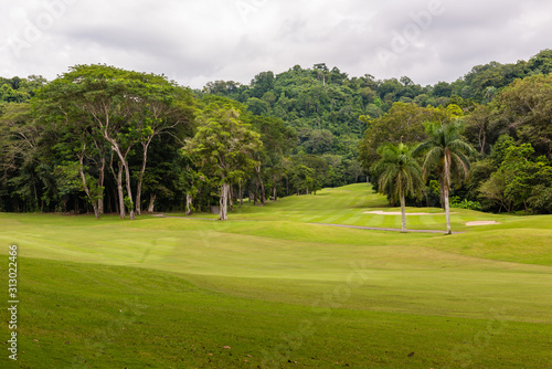 Landscape at the golf course. Tropical zone