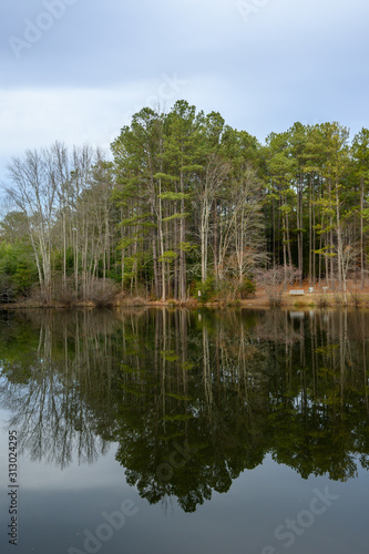 Mirror Water