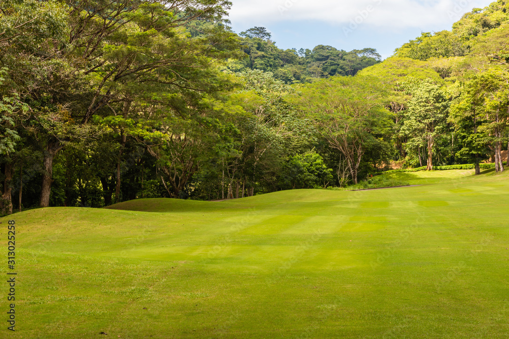 Landscape at the golf course. Tropical zone