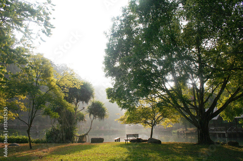 Morning sun and the atmosphere in the garden