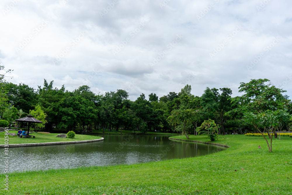 A small clean lake in public park, greenery trees, shrub and bush, green grass lawn in a good care maintenance landscapes, under white clouds blue sky