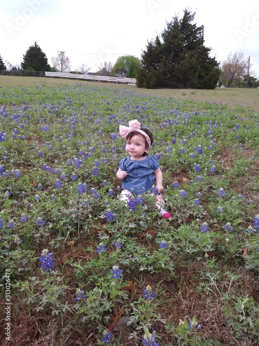 Baby in Bluebonnets