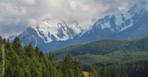 Mountain landscape, snow-capped peaks and trees. Summer evening, cloudy sky.