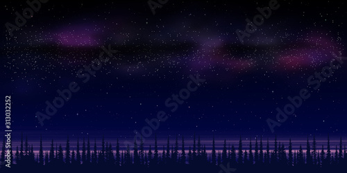 Night, northern landscape. Starry sky, trees against the sunset sky, vector illustration, EPS10