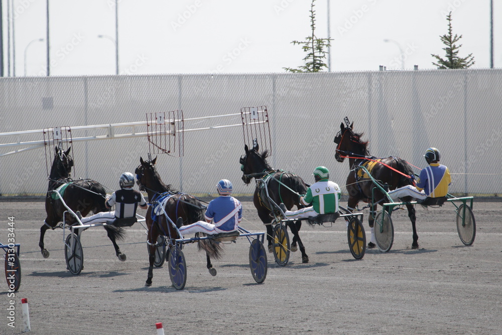 Fotografie Harness Horse Racing Action