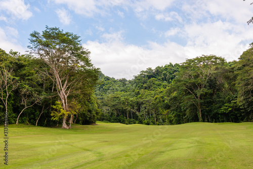 Landscape at the golf course. Tropical zone