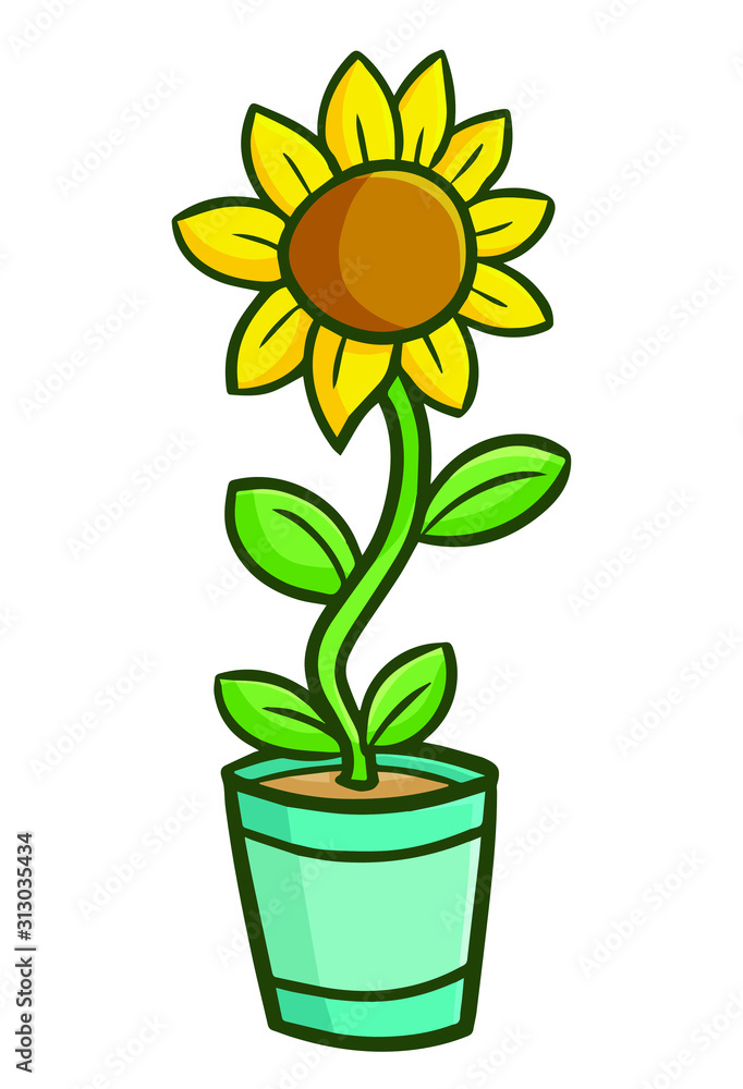 Obraz premium Cute and funny sunflower in a blue green pot