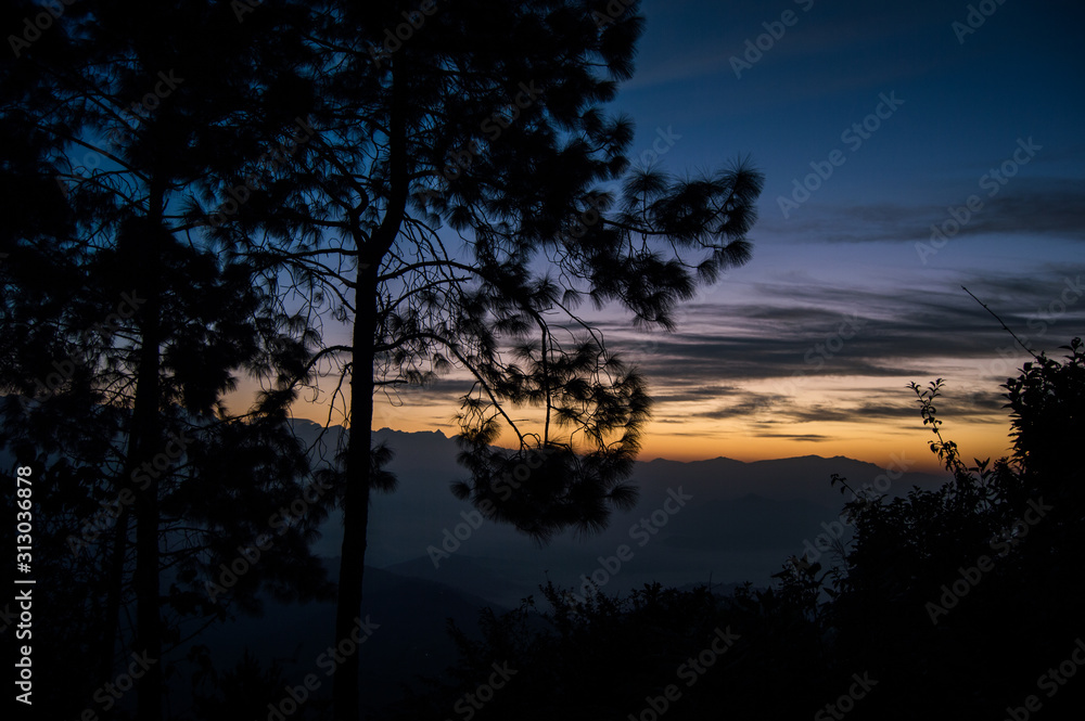 Sunrise with Pine trees on the first plan and himalayas on the background