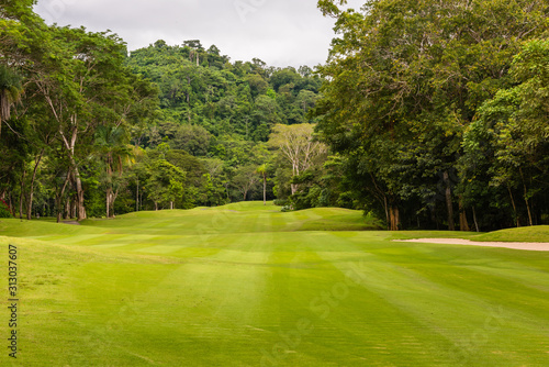 Landscape at the golf course. Tropical zone