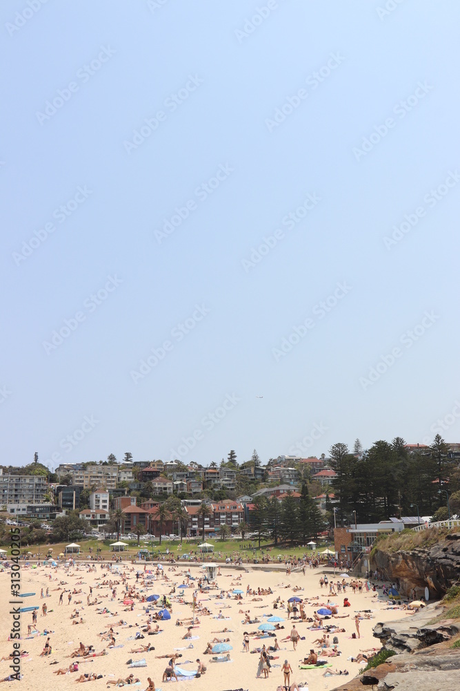 Obraz premium Sydney beach