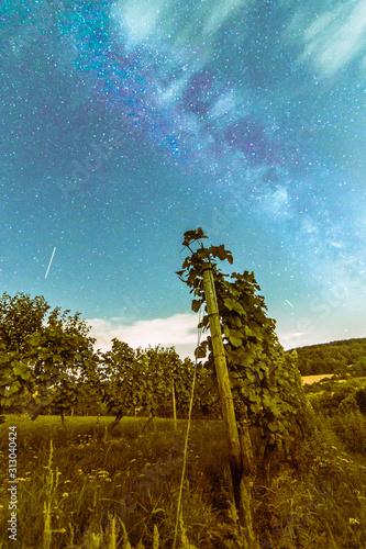 colorful milkyway in the vinegrapes photo