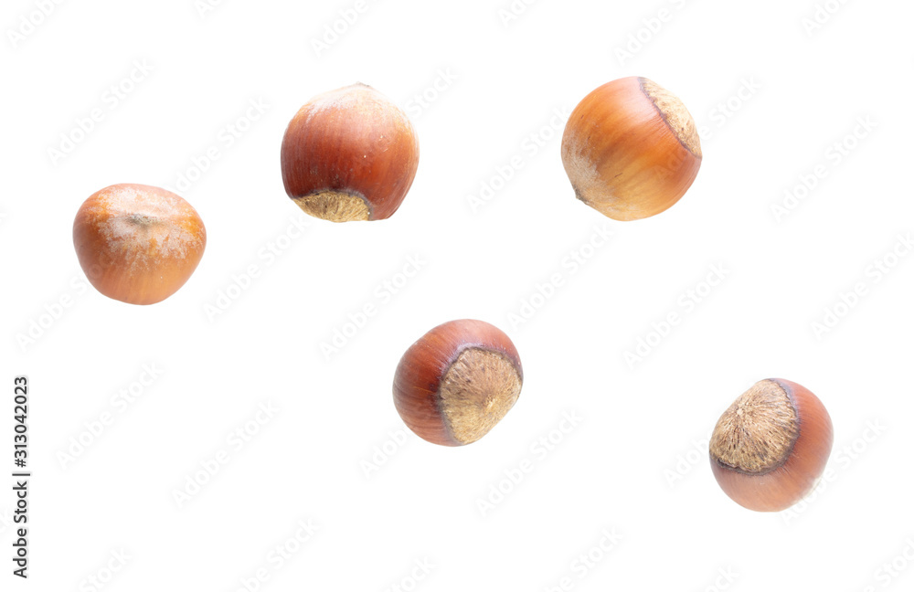 Hazelnuts nuts isolated on a white background Hazelnuts nuts isolated on a white background
