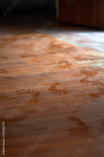 A spoor on muddy dust wooden floor inn the house