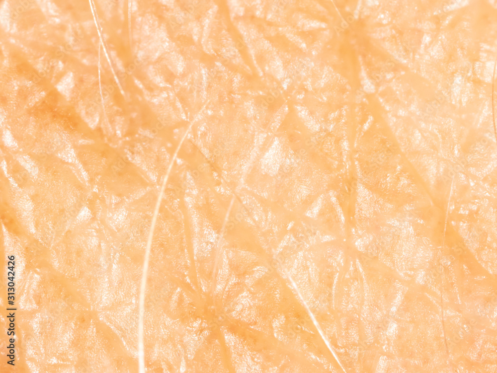 Fototapeta premium Human skin as a background