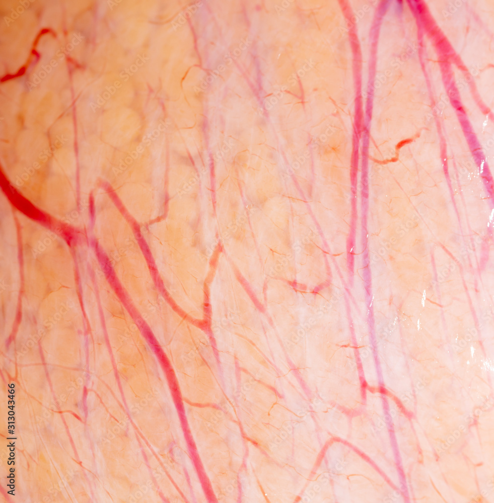 Naklejka premium Red veins on fish caviar as a background