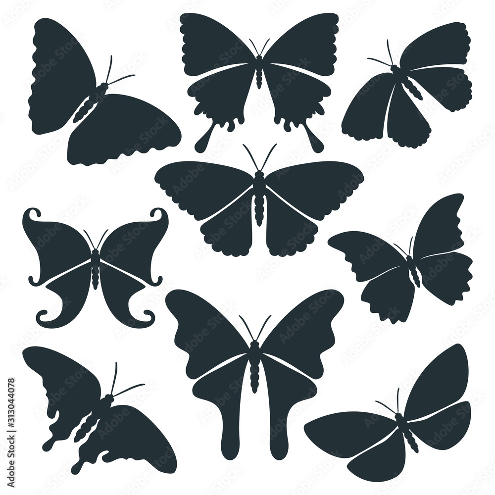 butterfly beautiful and high quality detail for paper craft cutting butterfly beautiful and high quality detail for paper craft cutting