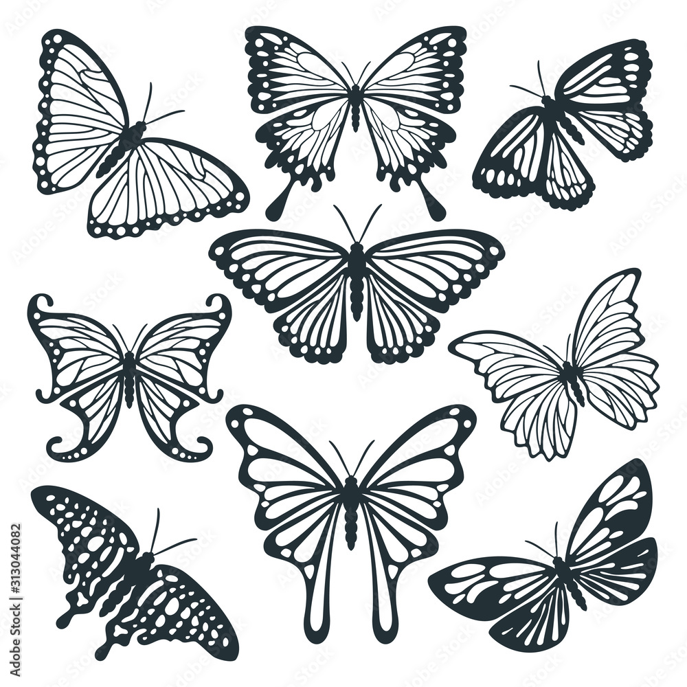 Naklejka butterfly beautiful and high quality detail for paper craft, cutting machine and printable vector file design