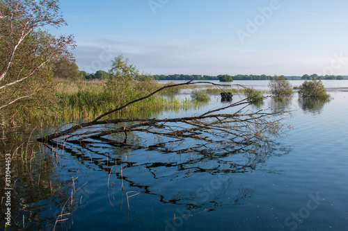Fototapeta Naklejka Na Ścianę i Meble -  ambiance paysage au lac du Der