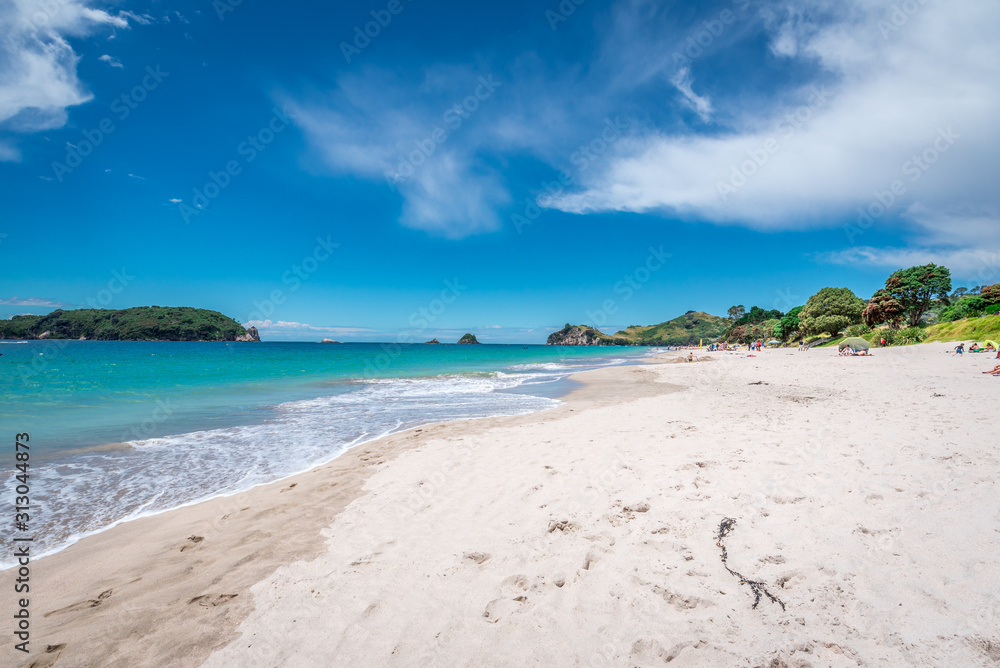 tropical beach with palm trees