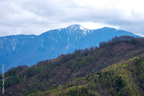 Montain view landscape with green forest