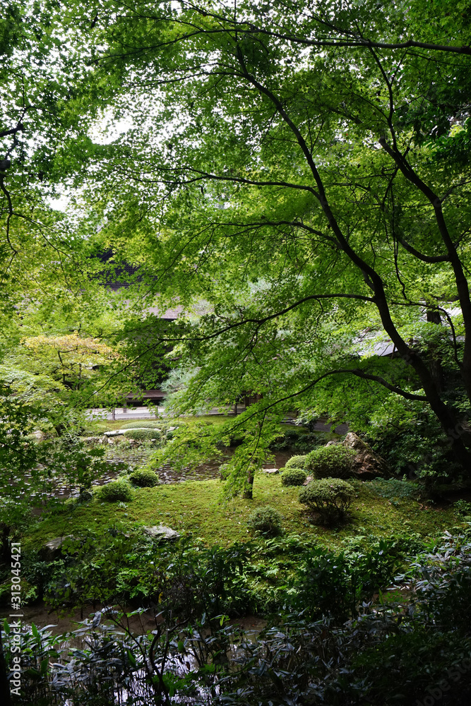 京都、南禅院の日本庭園