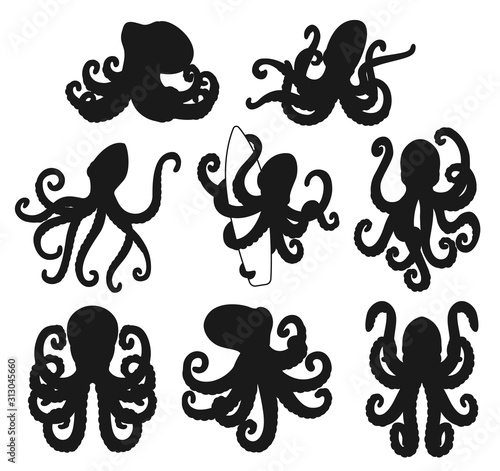 Octopus with curved tentacles vectorblack silhouettes. Marine animals with arms and suckers holding surfboard, underwater wildlife
