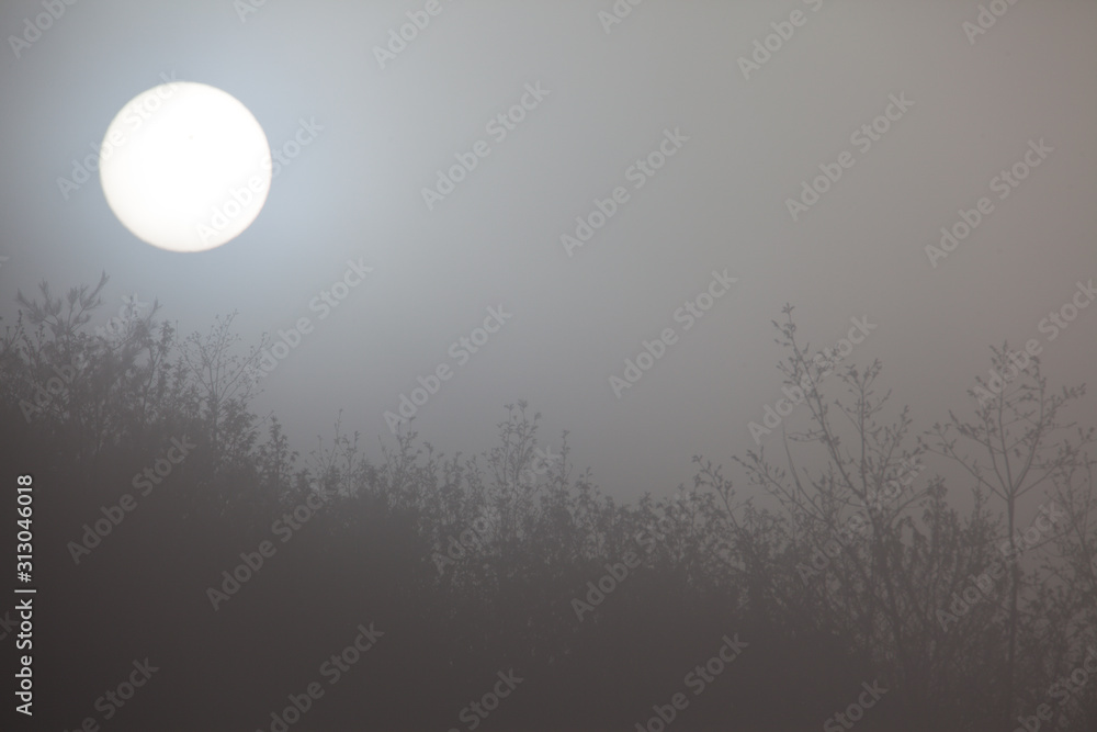 Fototapeta premium słońce wokół mgły