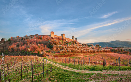 Monteriggioni, Siena, Tuscany, Italy: landscape at sunset of the ancient village along the Via Francigena with the medieval walls, the vineyards and the olive trees photo