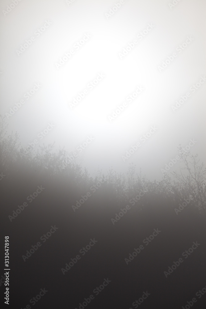 Obraz premium sun around fog